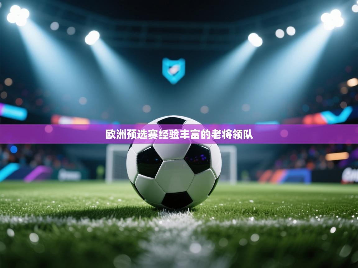 欧洲预选赛经验丰富的老将领队  第1张