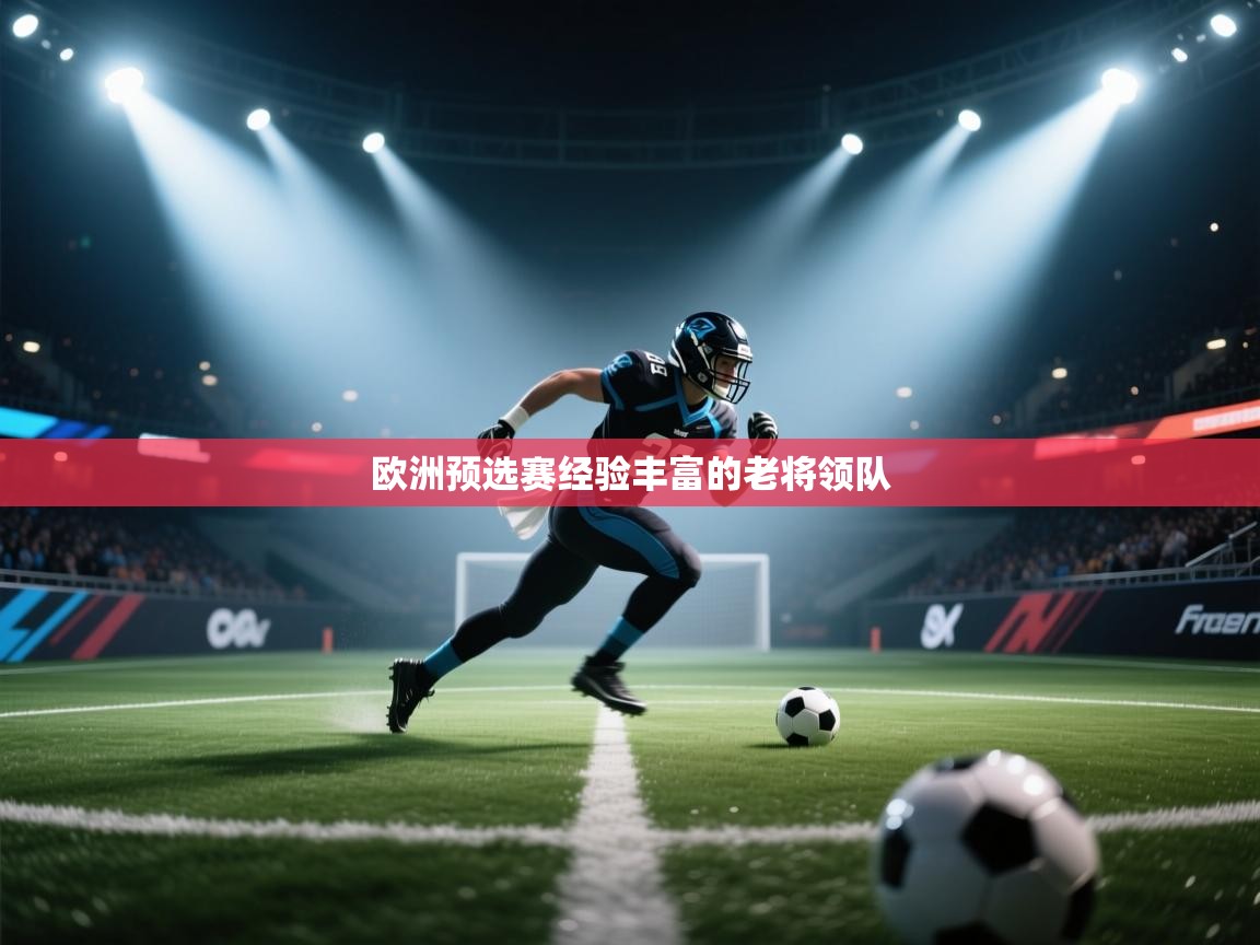 欧洲预选赛经验丰富的老将领队  第2张