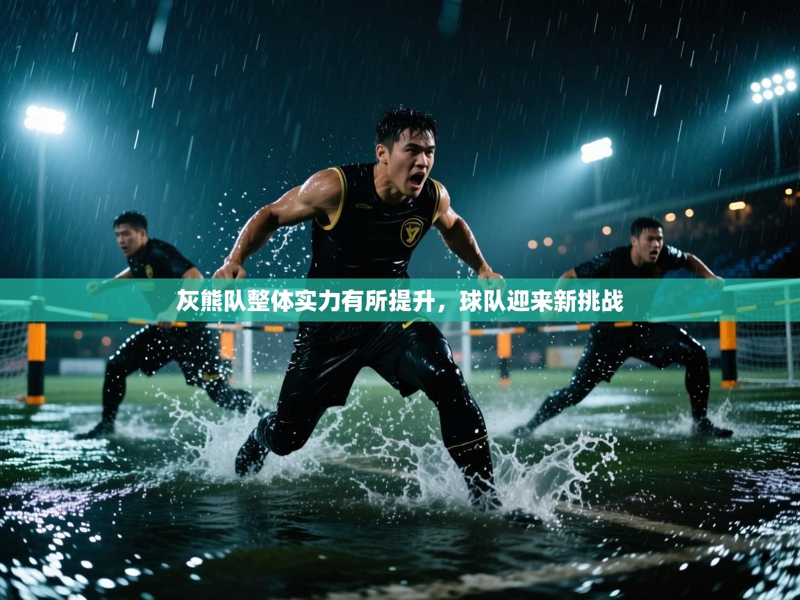 灰熊队整体实力有所提升，球队迎来新挑战  第1张