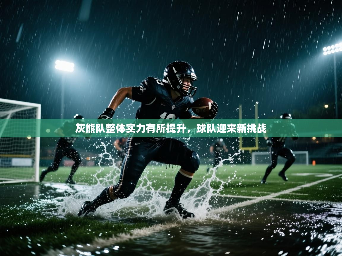 灰熊队整体实力有所提升，球队迎来新挑战  第2张