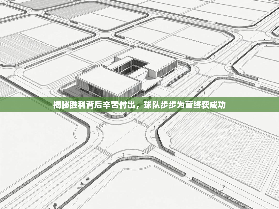 揭秘胜利背后辛苦付出，球队步步为营终获成功  第1张