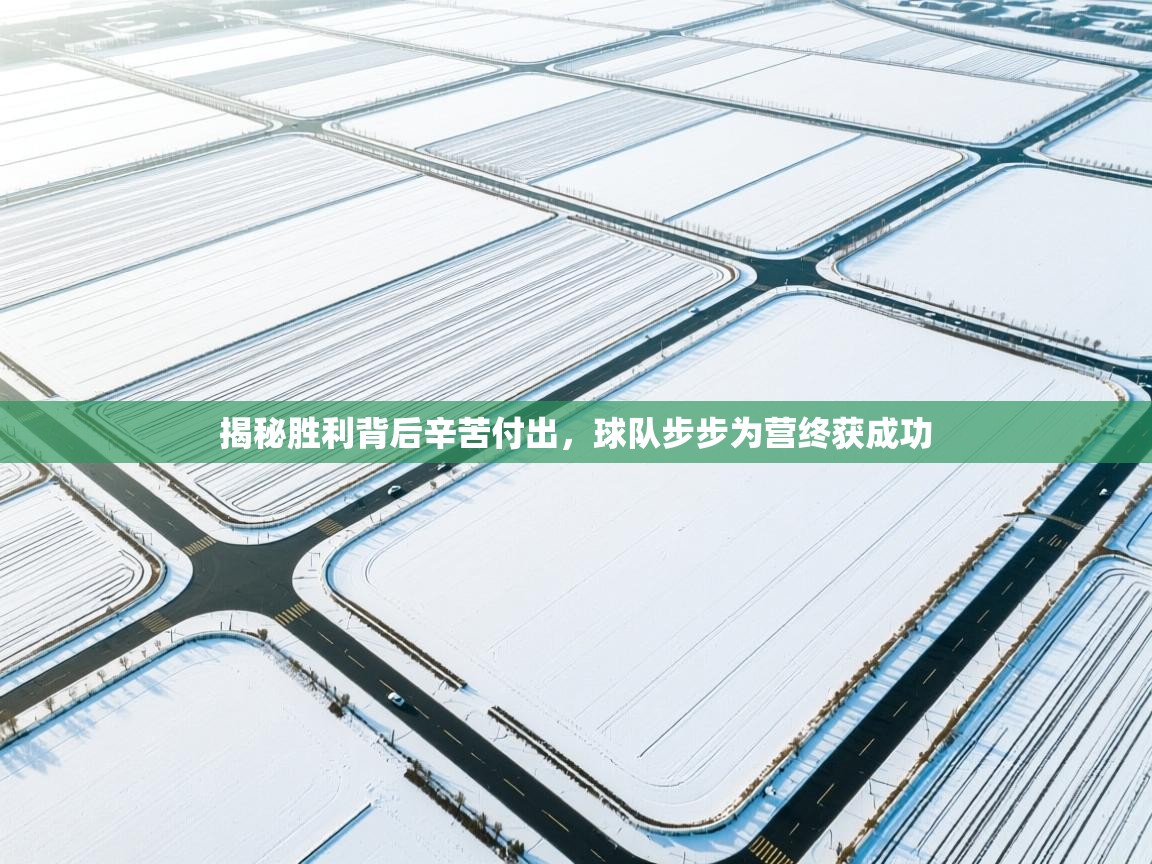 揭秘胜利背后辛苦付出，球队步步为营终获成功  第2张