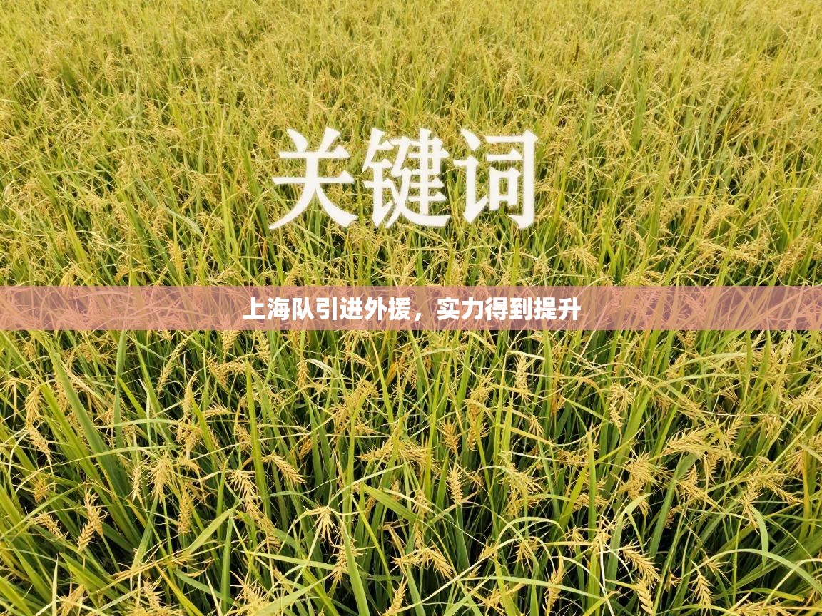 上海队引进外援,实力得到提升 第1张