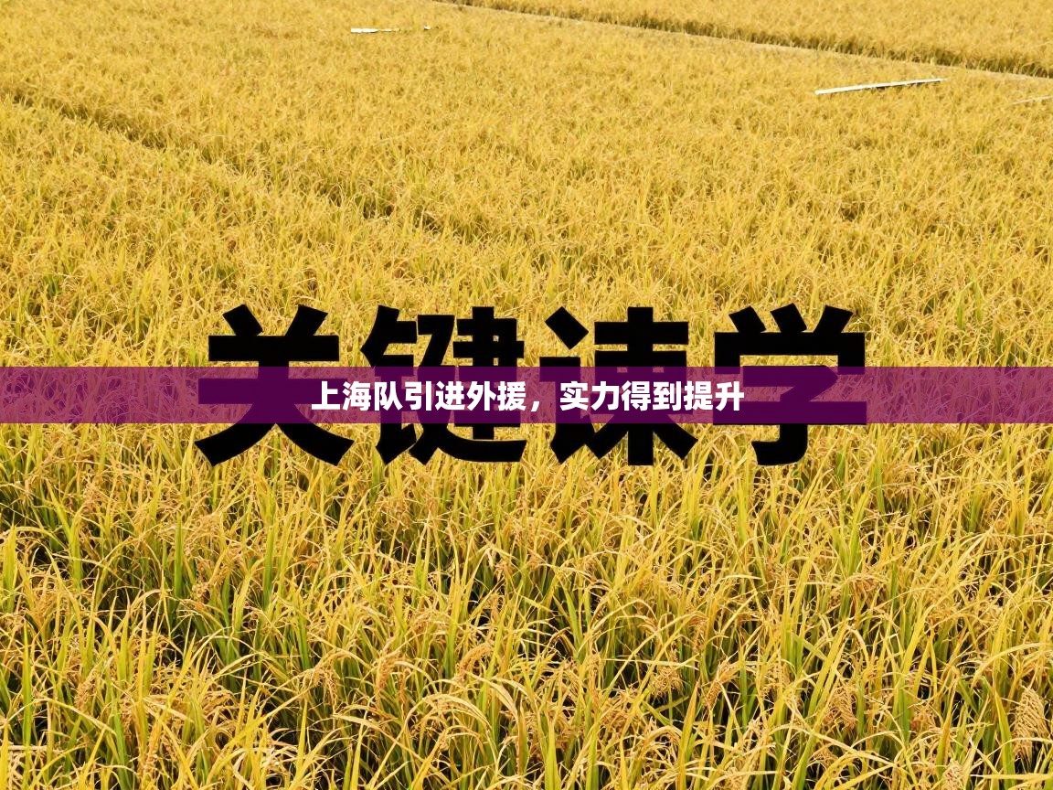 上海队引进外援,实力得到提升 第2张